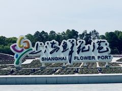 -上海鲜花港