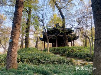 如果不是对自己太有自信的不要爬山顶