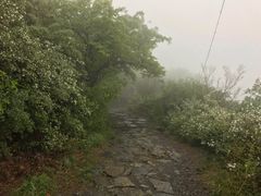 -阳台山自然风景区