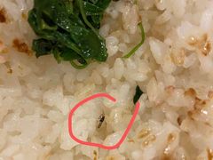 -翠亭酒家(山西南路店)