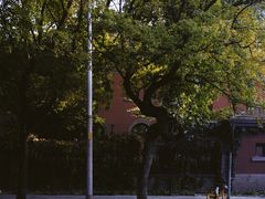 -三里屯东五街银杏大道