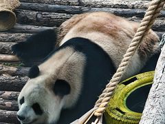 -大连森林动物园