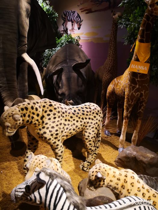 hansa图片 - 第92张