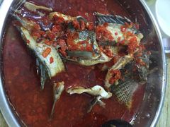 风鑫铃罗非鱼-风鑫铃罗非鱼(道沟店)