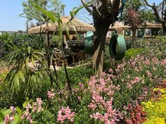 -苏记溪河鲢鱼庄(天府新区店)