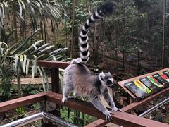 -可伦宾野生动物保护区