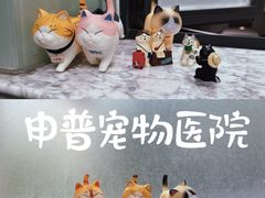 -申普宠物医院·心脏介入·心血管微创(总院)
