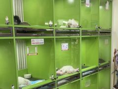 -唐小姐の私宠·宠物洗护美容·撸猫馆·购宠(周浦万达旗舰店)