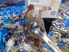 -盒马鲜生(新都心店)