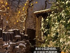 -斯多格书乡(北京大学畅春园店)