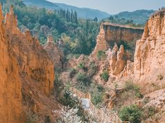 -彩色沙林风景区