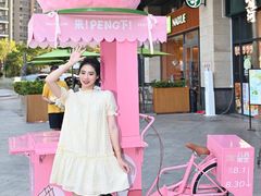 -坂田天虹