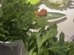 -一叶一世界•素食餐厅(环球中心店)