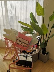 -E.L.K造型momopark店