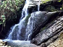 -江西阳明山国家森林公园