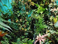 -太平洋海底世界