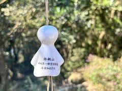 -梧桐山风景名胜区