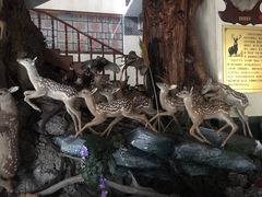 大堂-乔家满族八大碗(流水沟店)