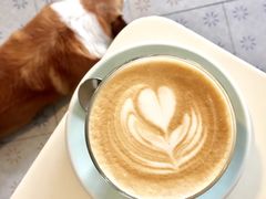 22&nbsp;latte-22cafe
