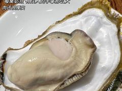-蚝堡海鲜·威海菜·海肠捞饭·烧烤·亚洲吃蚝公司(幸福门店)