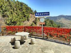 -金龙寺国家森林公园