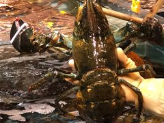 -79号渔船海鲜饭店(宝安店)