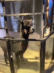 -酷嗒动物文化乐园(cutezoo西溪乐天城店)