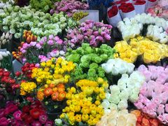 -双季花艺园艺市场(浦东店)
