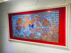 -上海昆虫博物馆