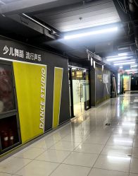 点击看大图 -欲非舞蹈