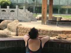 -龙达温泉生态城