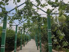 -东方巨龟苑景区