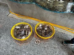 -蓝珊海鲜澳洲和牛自助餐厅