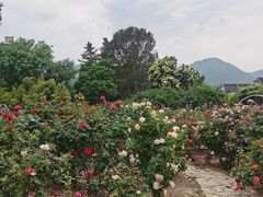 -国家植物园南园