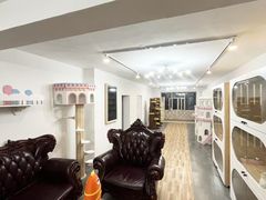 -青奢宠物·青奢猫舍