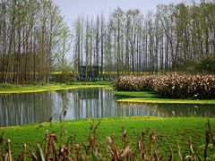 -桤木河湿地公园