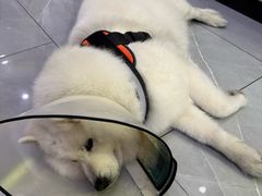 -中国体育彩票(竞彩店)