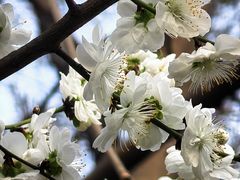 -龙湖星悦荟(颐和店)