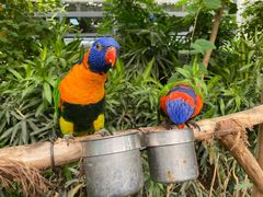 -南宫五洲植物乐园