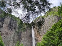 -雁荡山大龙湫景区
