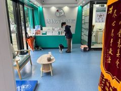 -博特宠物医院24h犬猫全科.骨科·异宠