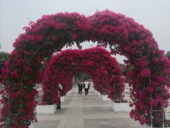 -莲花山公园
