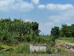 -广富林郊野公园