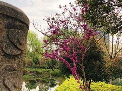 -杭州城北体育公园