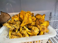 -菌之家·专业纯野生菌火锅·特色炒菌