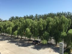 停车场-美松高尔夫俱乐部