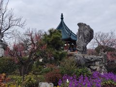-无锡梅园公园