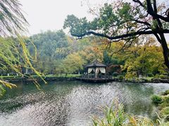 -浙江西子宾馆·牡丹厅