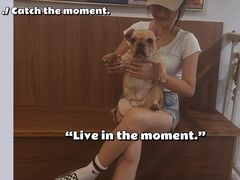 -柯斗斗主题餐厅·狗咖·围炉煮茶·茶饮(国瑞升平里店)