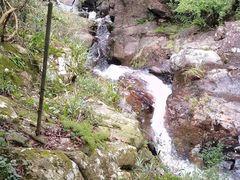 -梧桐山风景名胜区